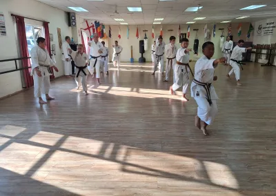 Vasbyt Gashuku Training Week for black and brown belts.