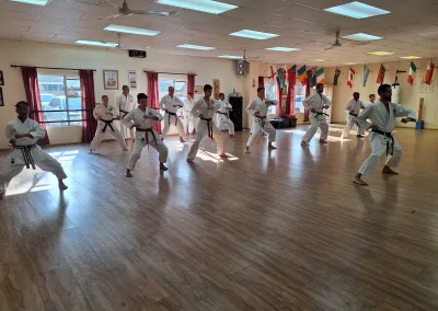 Vasbyt Gashuku Training Week for black and brown belts.