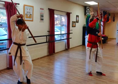 Black and Brown Belt Training. Kubudo Training - Nunchuku