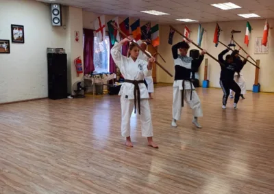 Black and Brown Belt Training. Kubudo Training - Nunchuku
