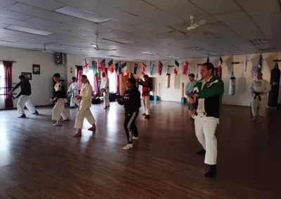 Black and Brown Belt Training. Kubudo Training - Nunchuku